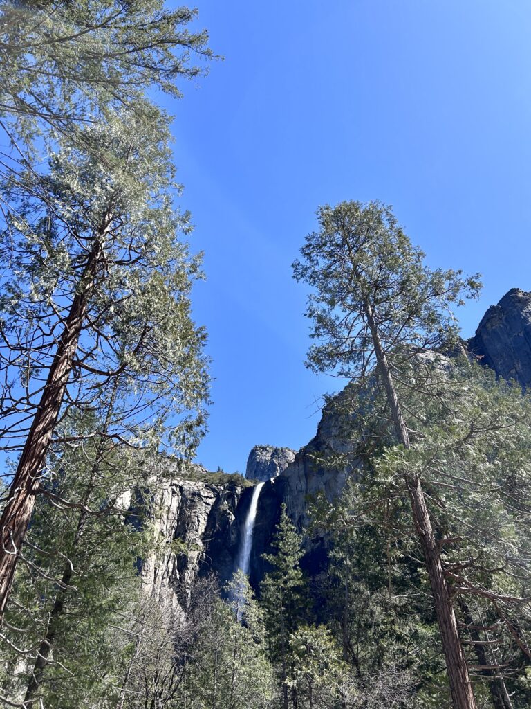 A waterfall cascades down a tall granite face, flanked by tall masquerade trees