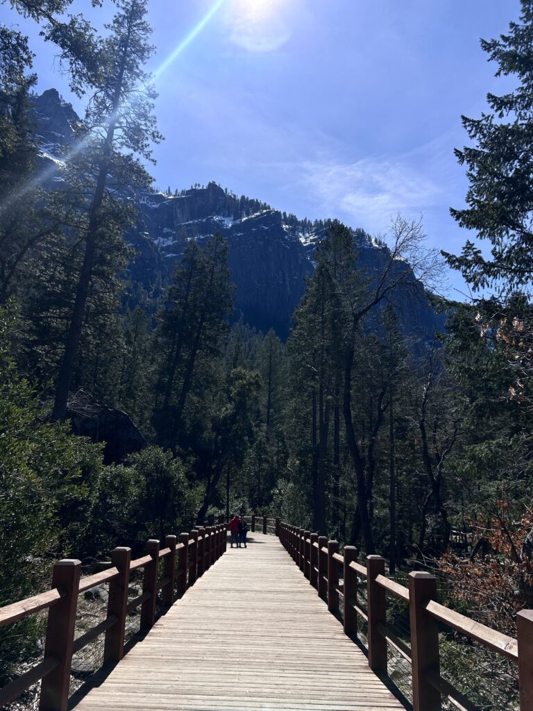 a wooden bridge is in the foreground. and a copse of green pine trees is in the background, alongside a shadowy mountain.