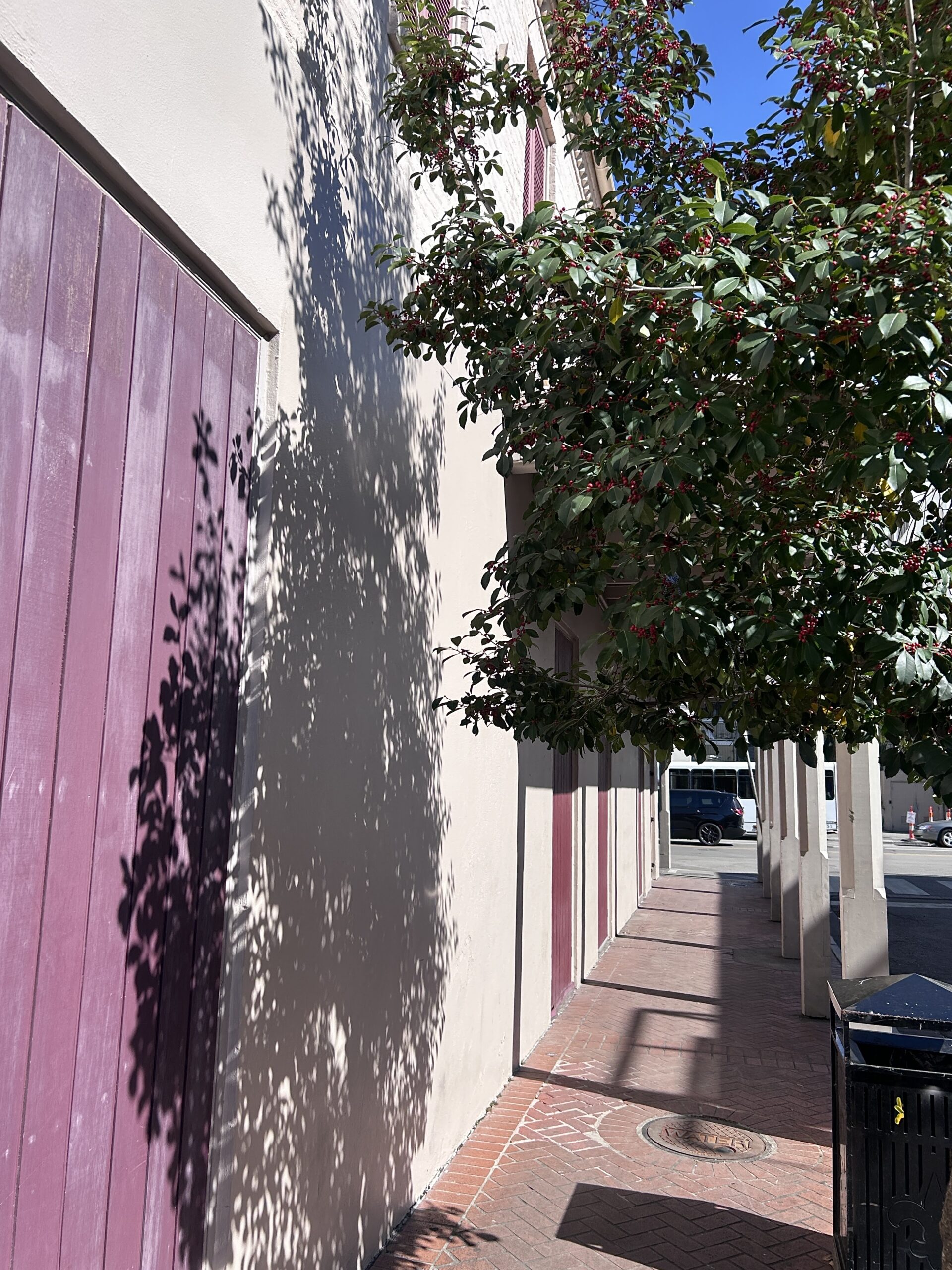 A sunlit sidewalk lined with a beige building featuring plum-colored wooden doors. A leafy tree casts dappled shadows across the wall and walkway, while a glimpse of the street with passing cars is visible in the background.