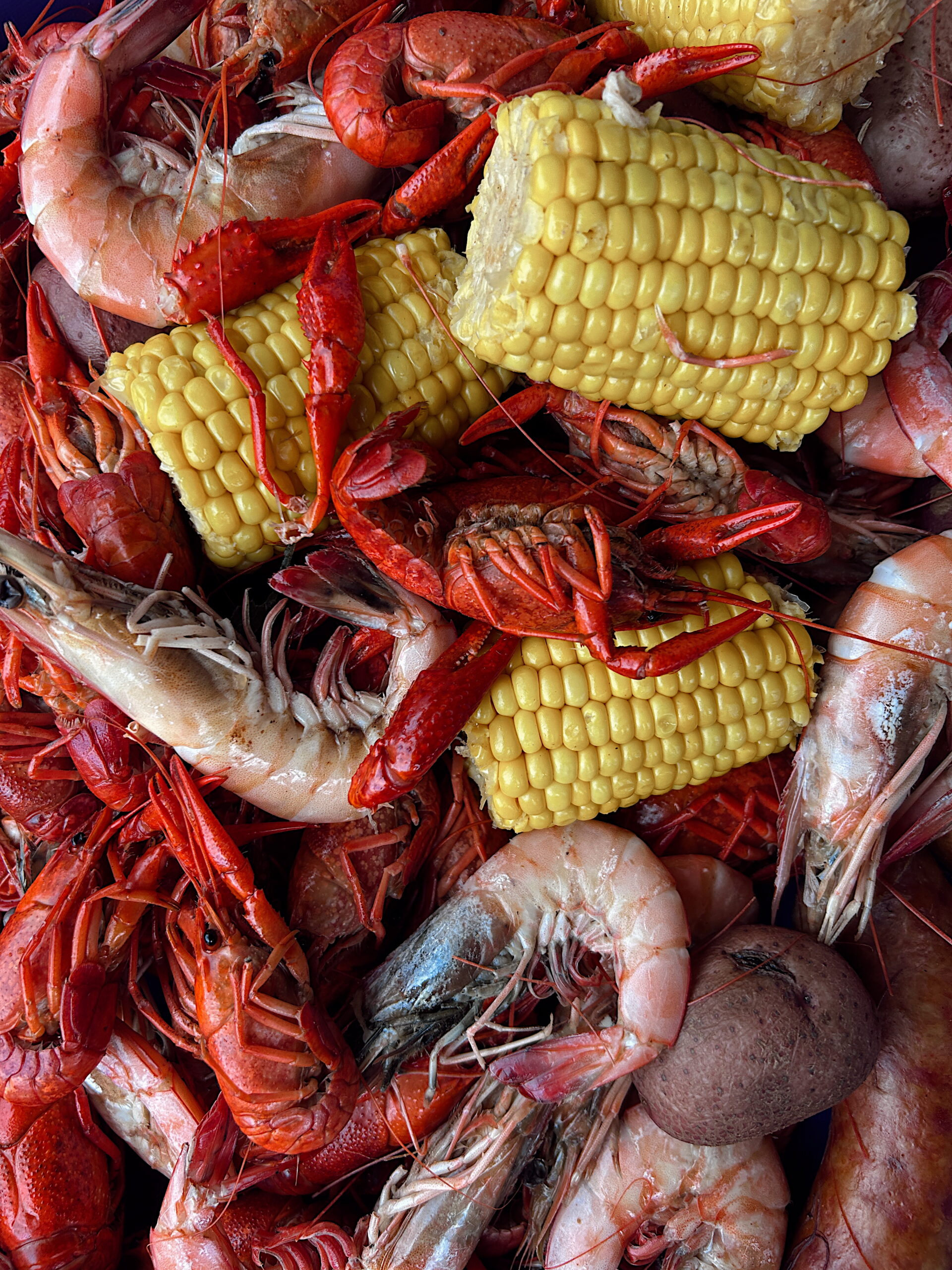 A vibrant flat lay of a seafood boil featuring bright red crawfish, plump shrimp, golden corn on the cob, and boiled potatoes. The dish bursts with color and texture, capturing the essence of Louisiana cuisine.